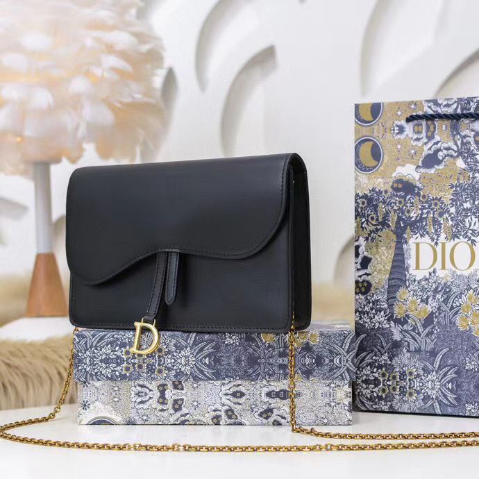 Dior Oblique Woc 22 cm