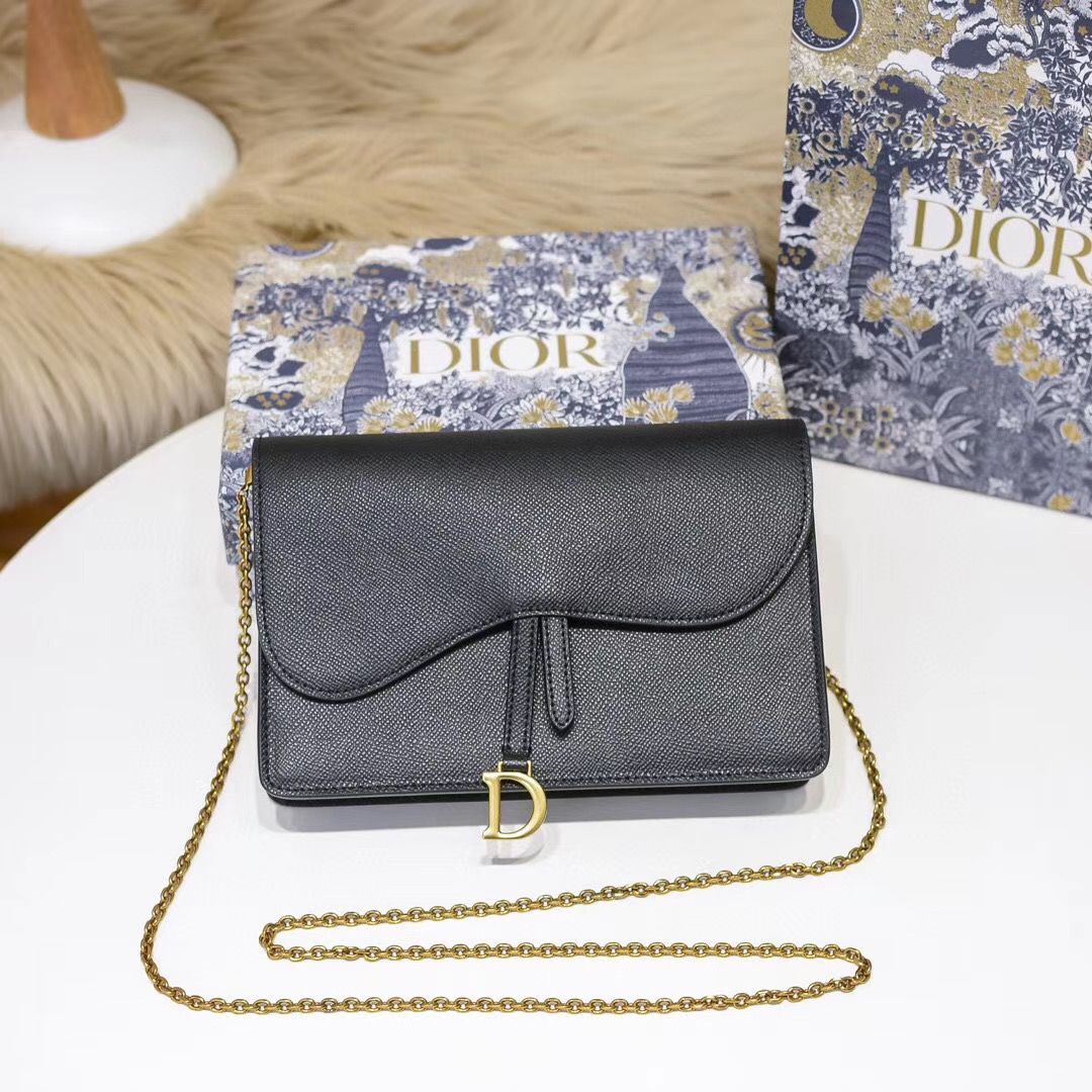 Dior Oblique Woc 22 cm