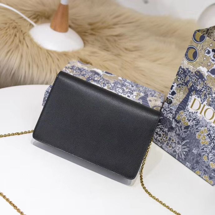 Dior Oblique Woc 22 cm