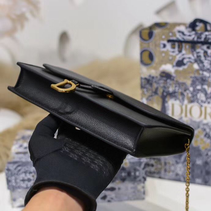 Dior Oblique Woc 22 cm