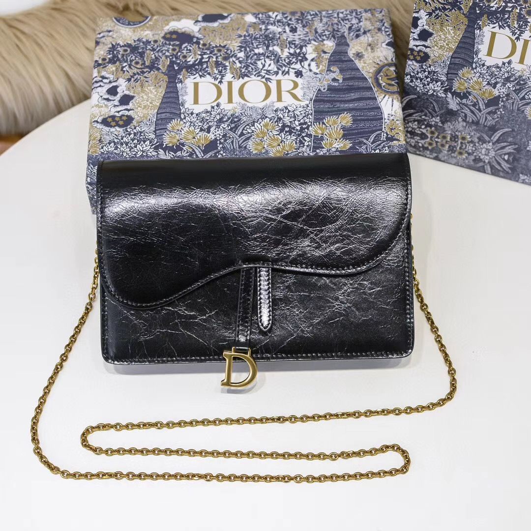 Dior Oblique Woc 22 cm