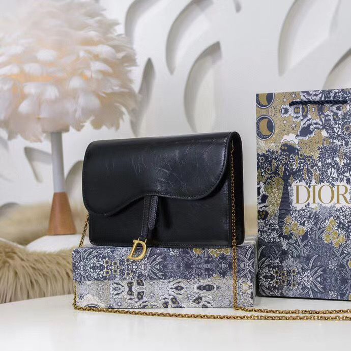 Dior Oblique Woc 22 cm