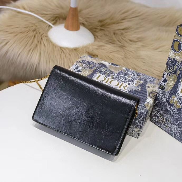 Dior Oblique Woc 22 cm