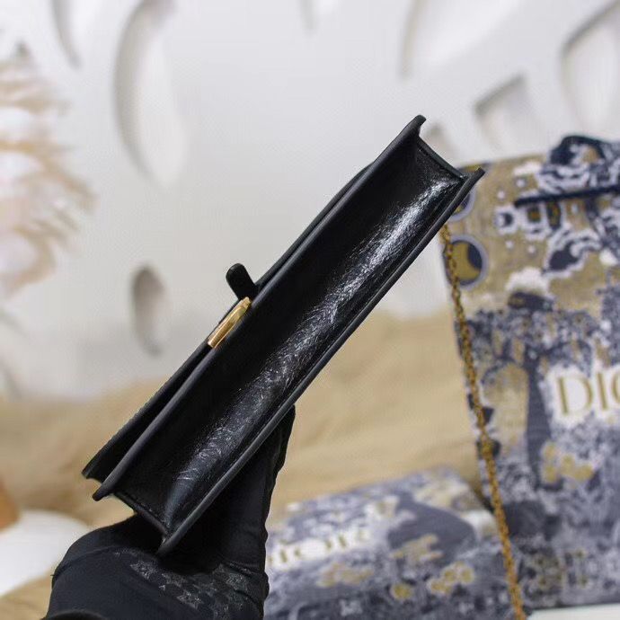 Dior Oblique Woc 22 cm