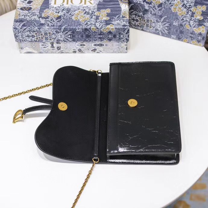 Dior Oblique Woc 22 cm