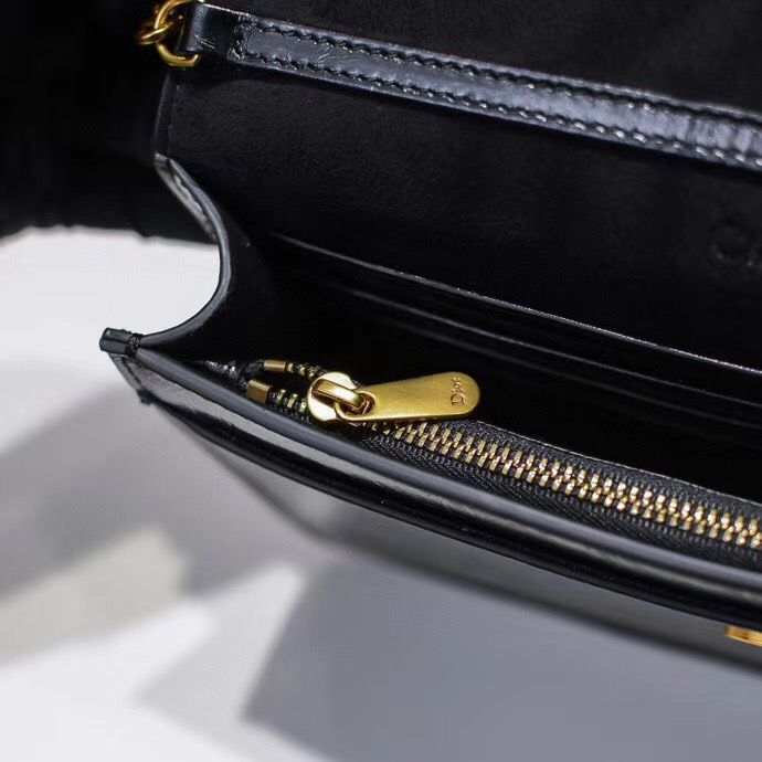 Dior Oblique Woc 22 cm