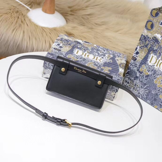 Поясная сумка Dior 18,5 cm