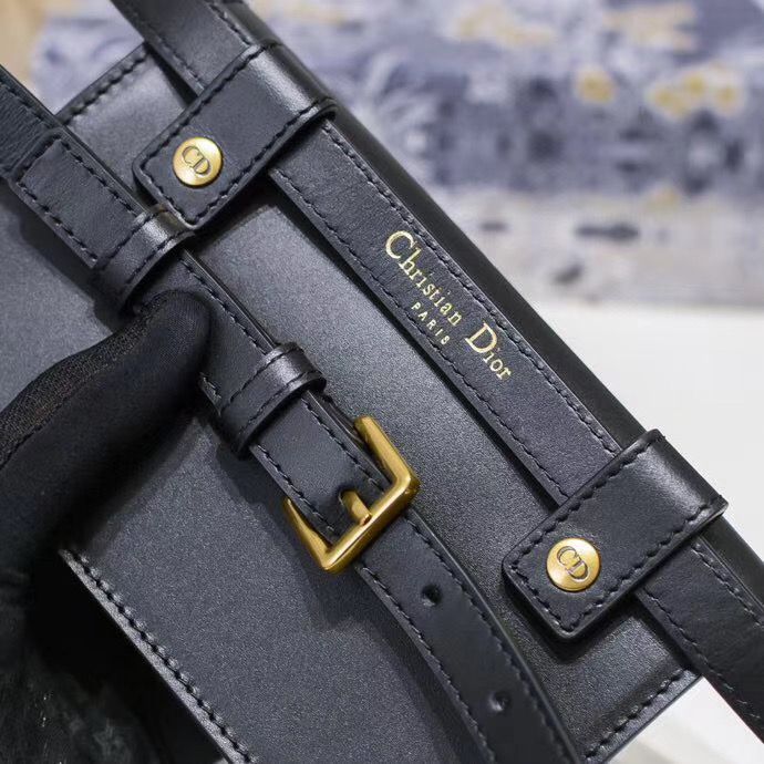 Поясная сумка Dior 18,5 cm