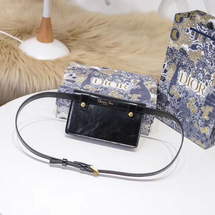 Поясная сумка Dior 18,5 cm