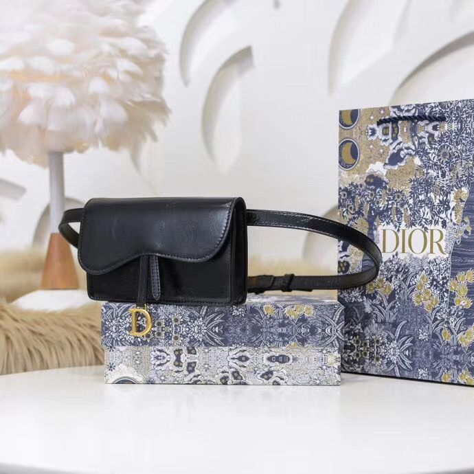 Поясная сумка Dior 18,5 cm