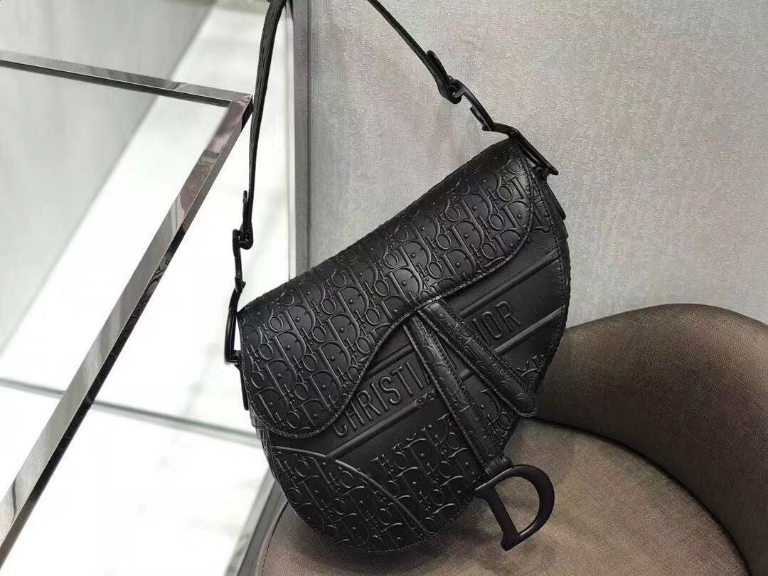 Dior Saddle Bag 25,5 cm