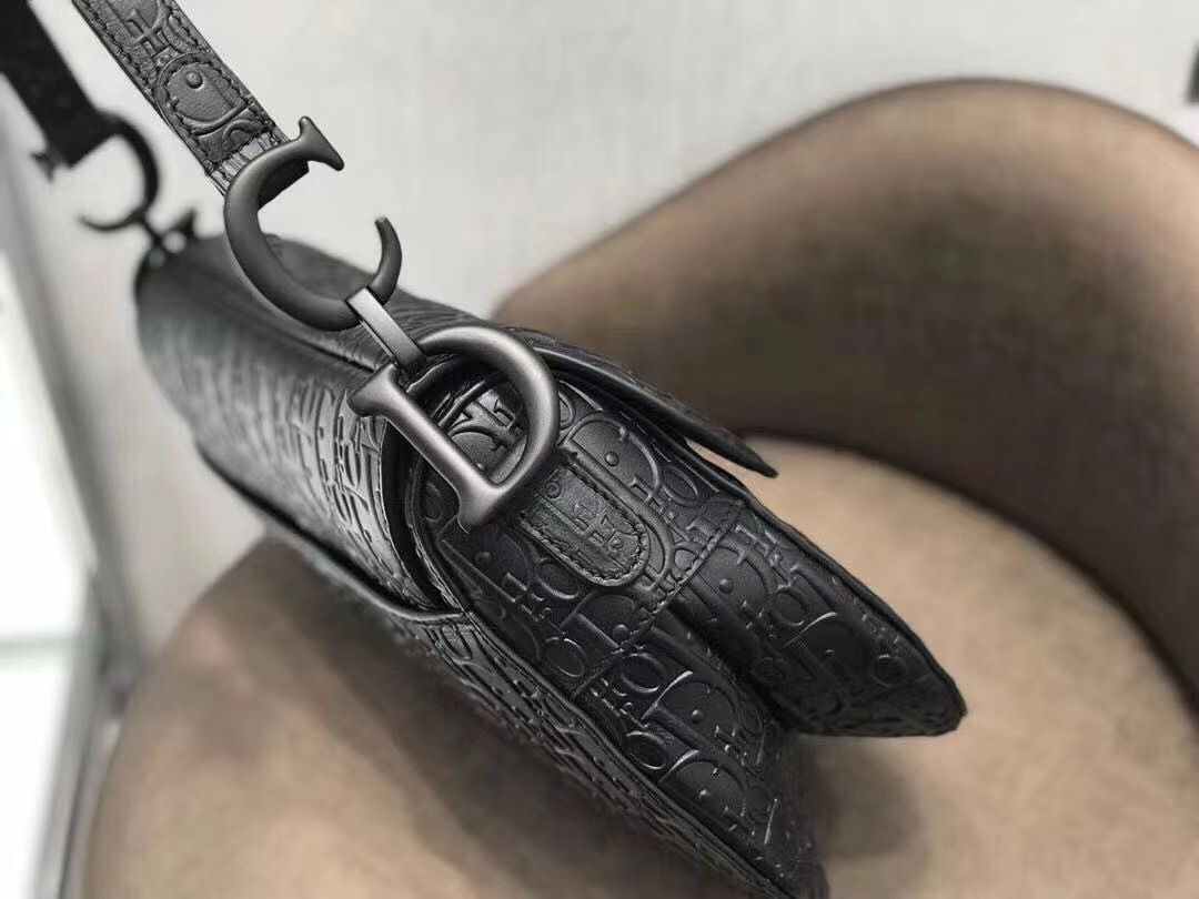 Dior Saddle Bag 25,5 cm