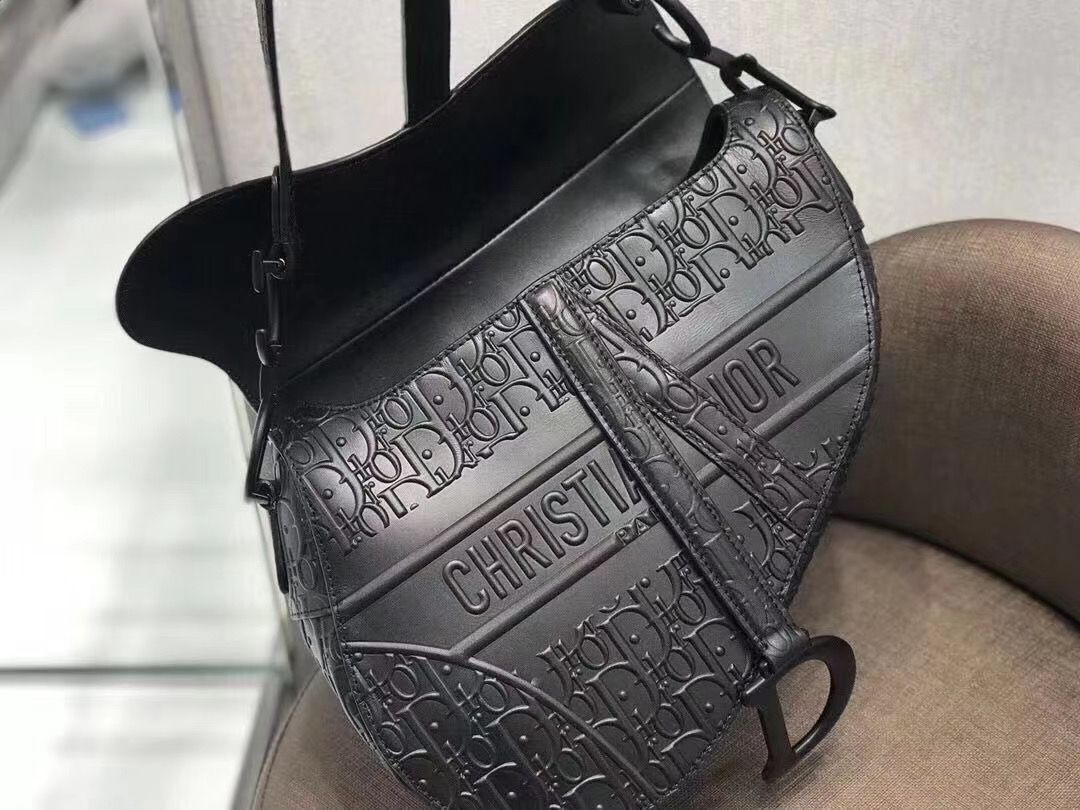 Dior Saddle Bag 25,5 cm