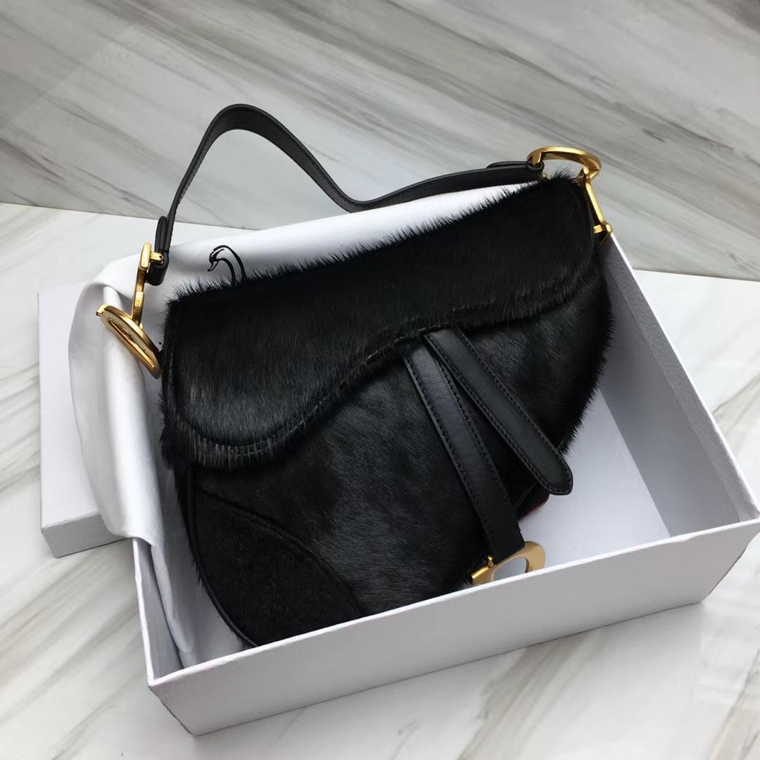 Dior Saddle Bag 25,5 cm