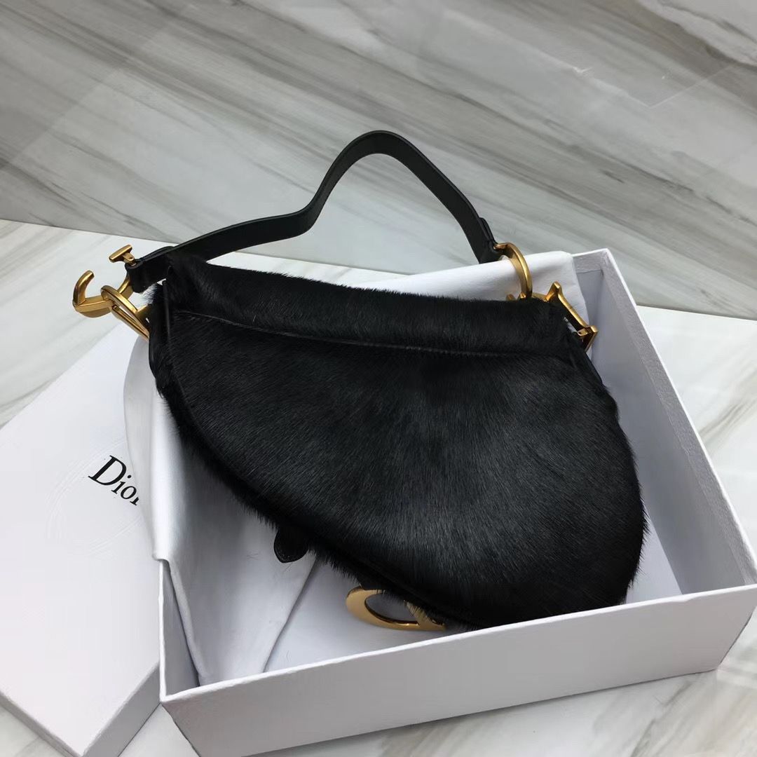 Dior Saddle Bag 25,5 cm