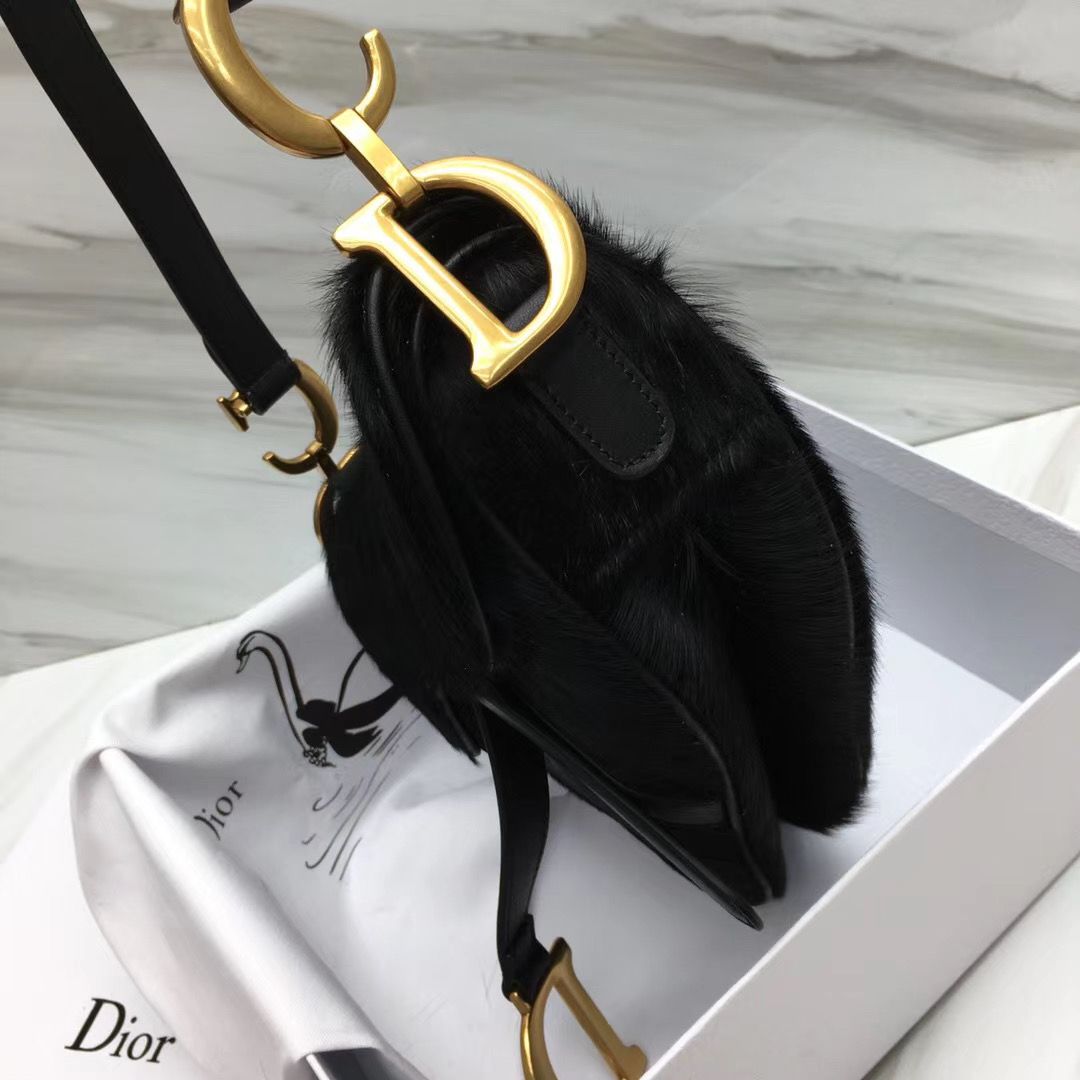 Dior Saddle Bag 25,5 cm