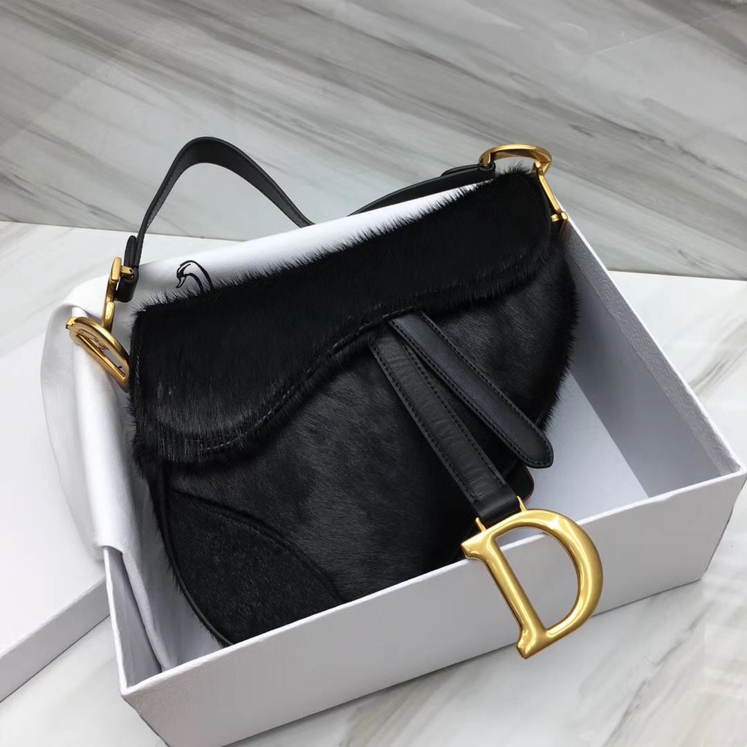 Dior Saddle Bag 25,5 cm