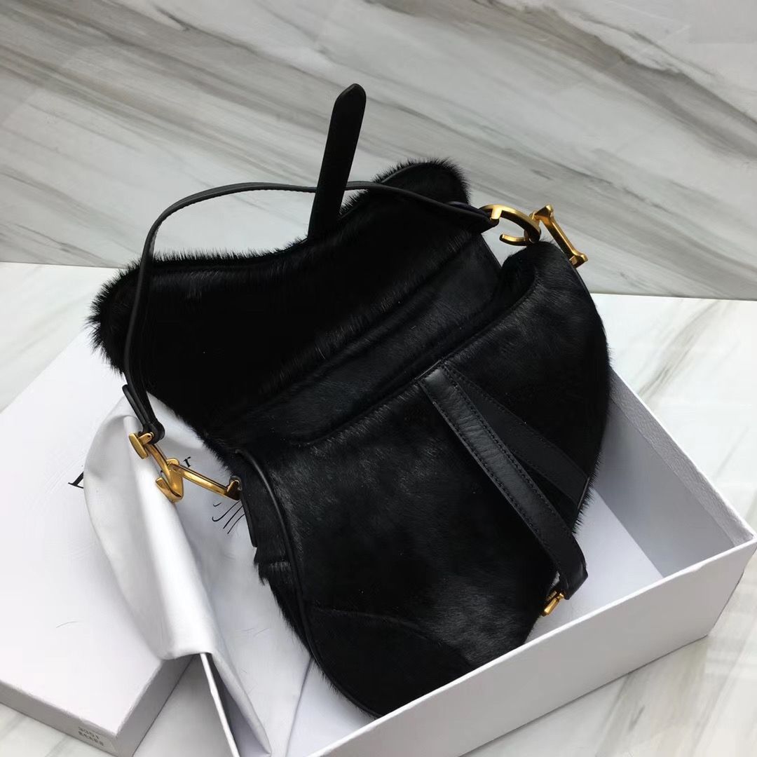 Dior Saddle Bag 25,5 cm