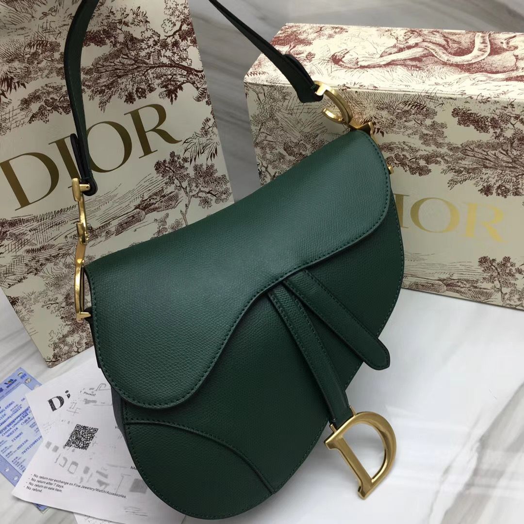 Dior Saddle Bag 25,5 cm