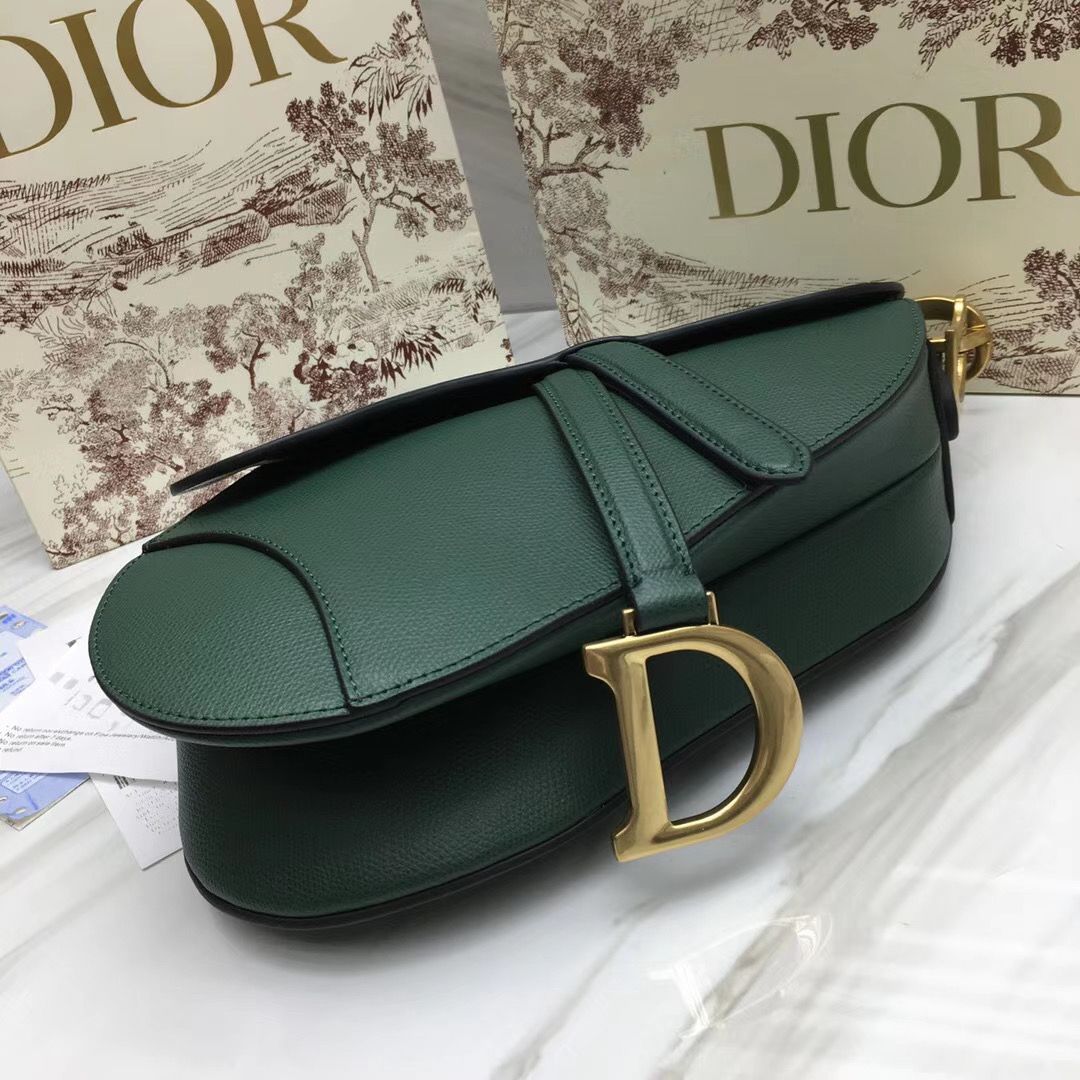 Dior Saddle Bag 25,5 cm