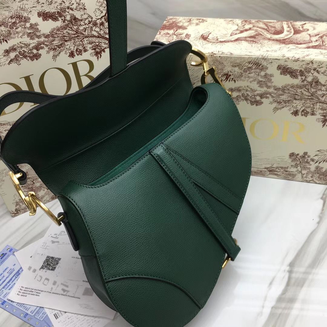 Dior Saddle Bag 25,5 cm