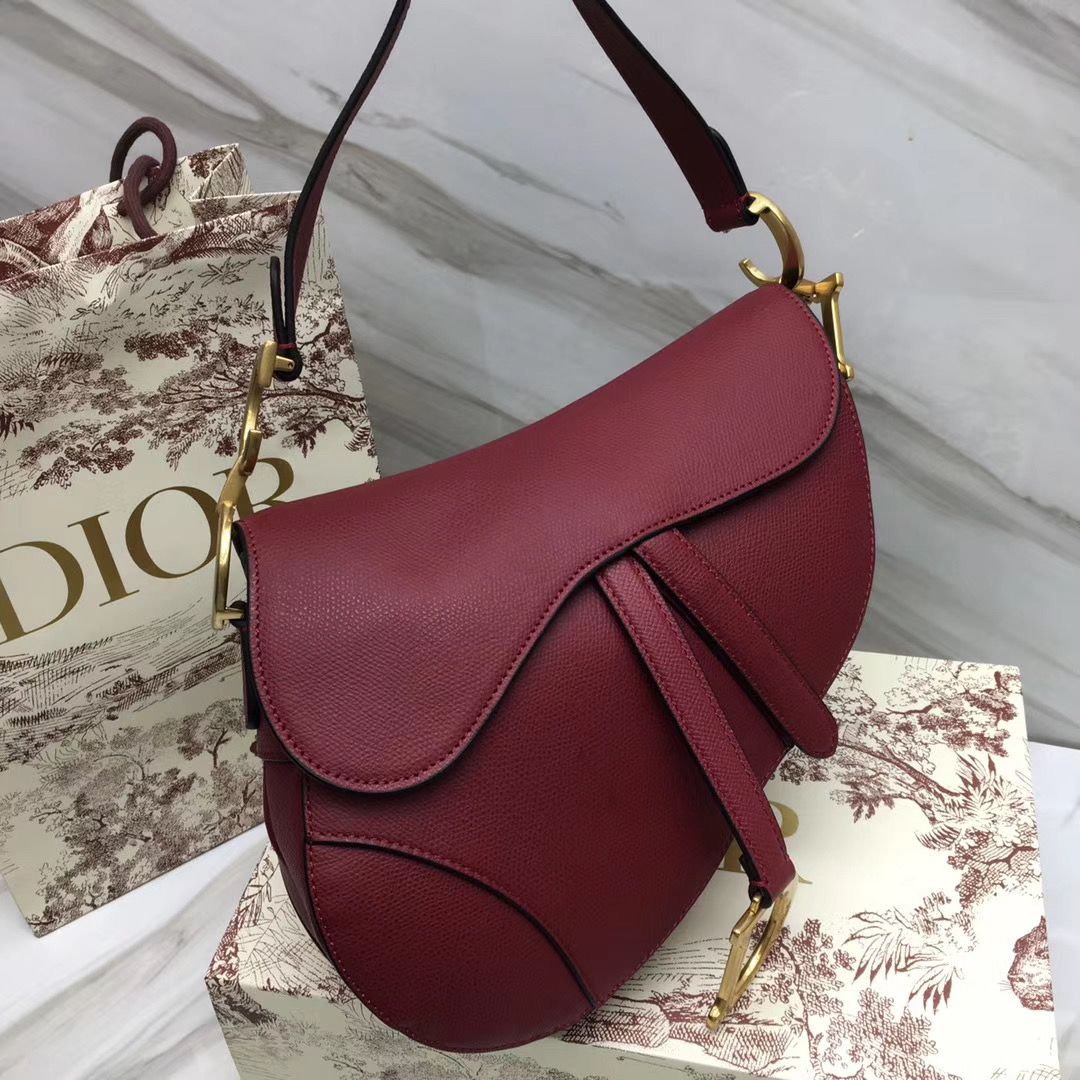 Dior Saddle Bag 25,5 cm