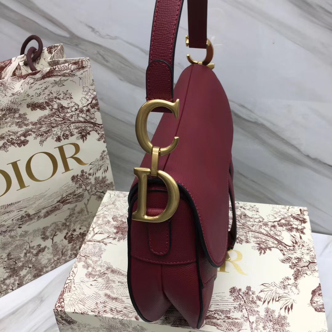 Dior Saddle Bag 25,5 cm