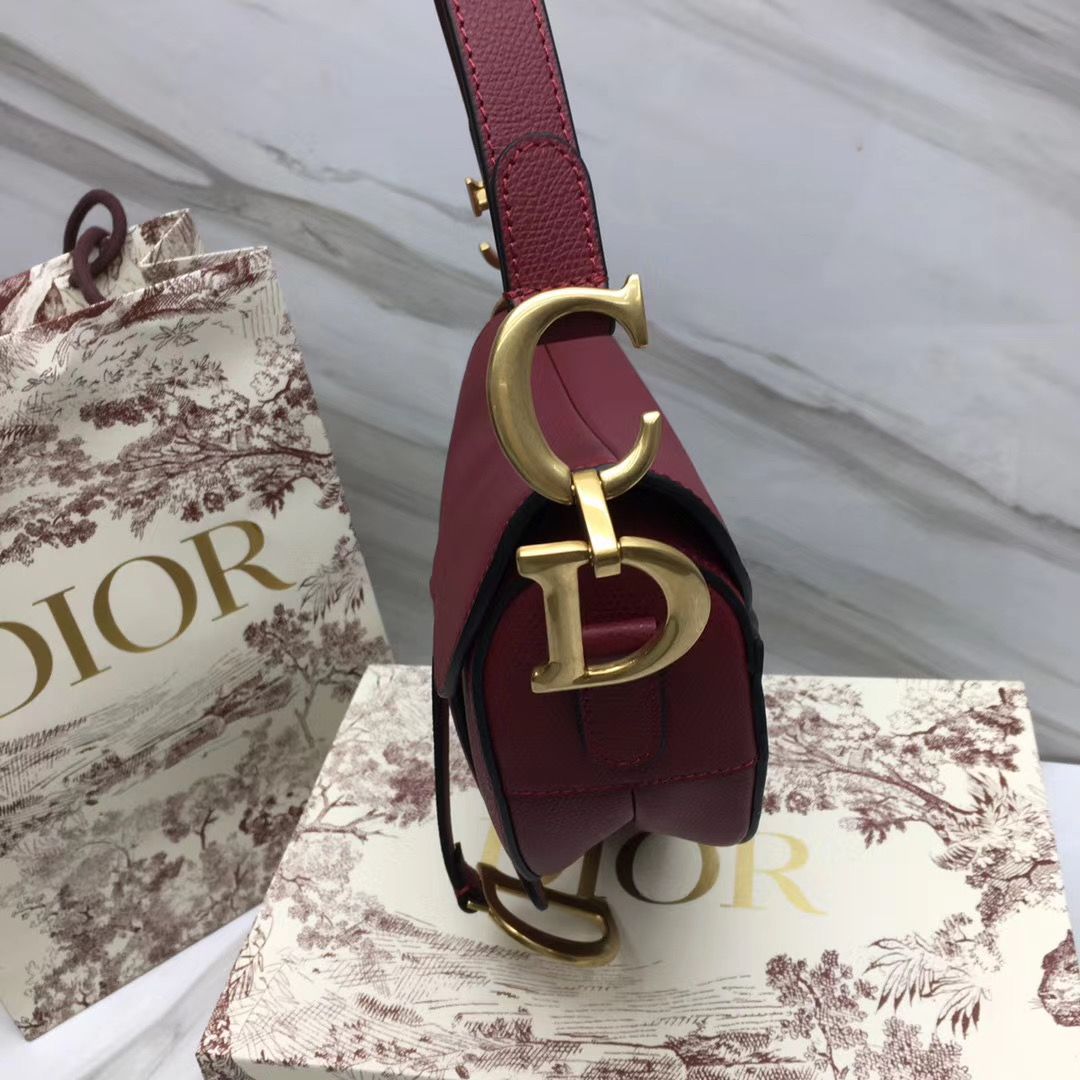 Dior Saddle Bag 25,5 cm