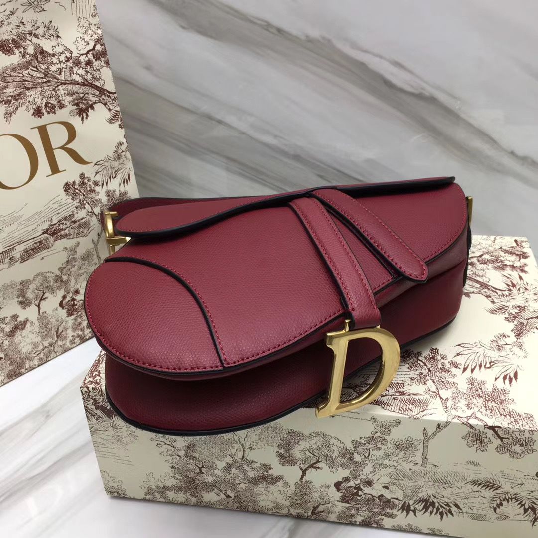 Dior Saddle Bag 25,5 cm