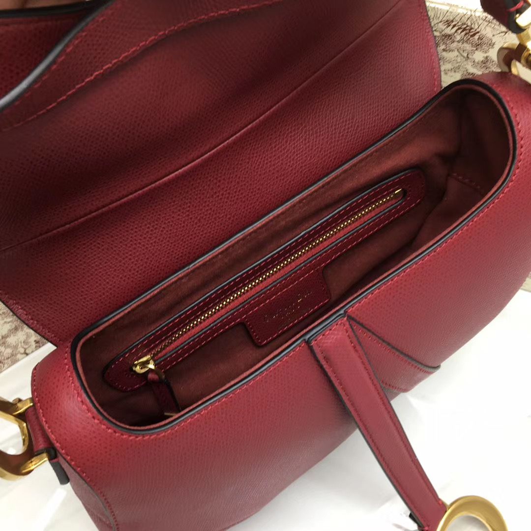 Dior Saddle Bag 25,5 cm