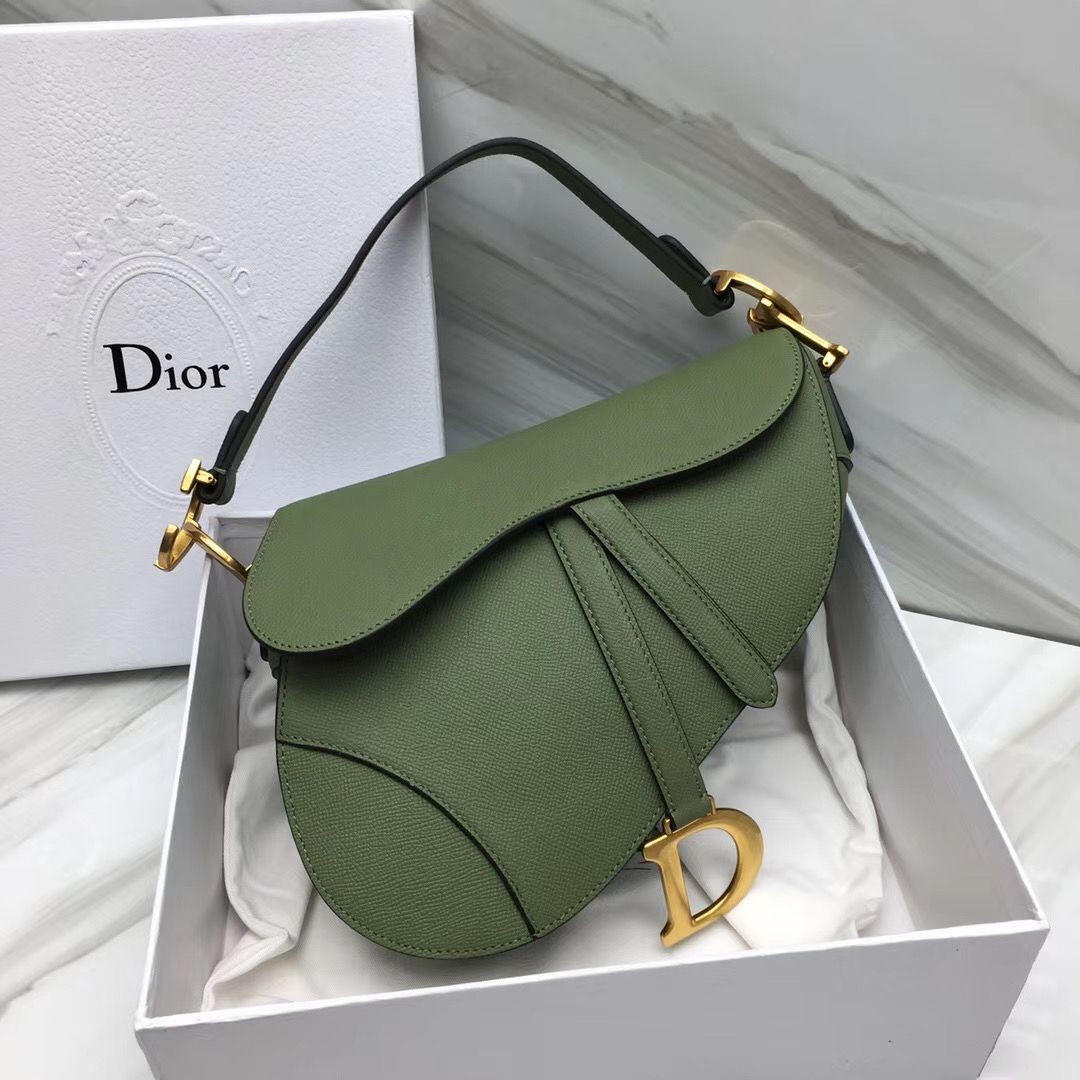 Dior Saddle Bag 25,5 cm