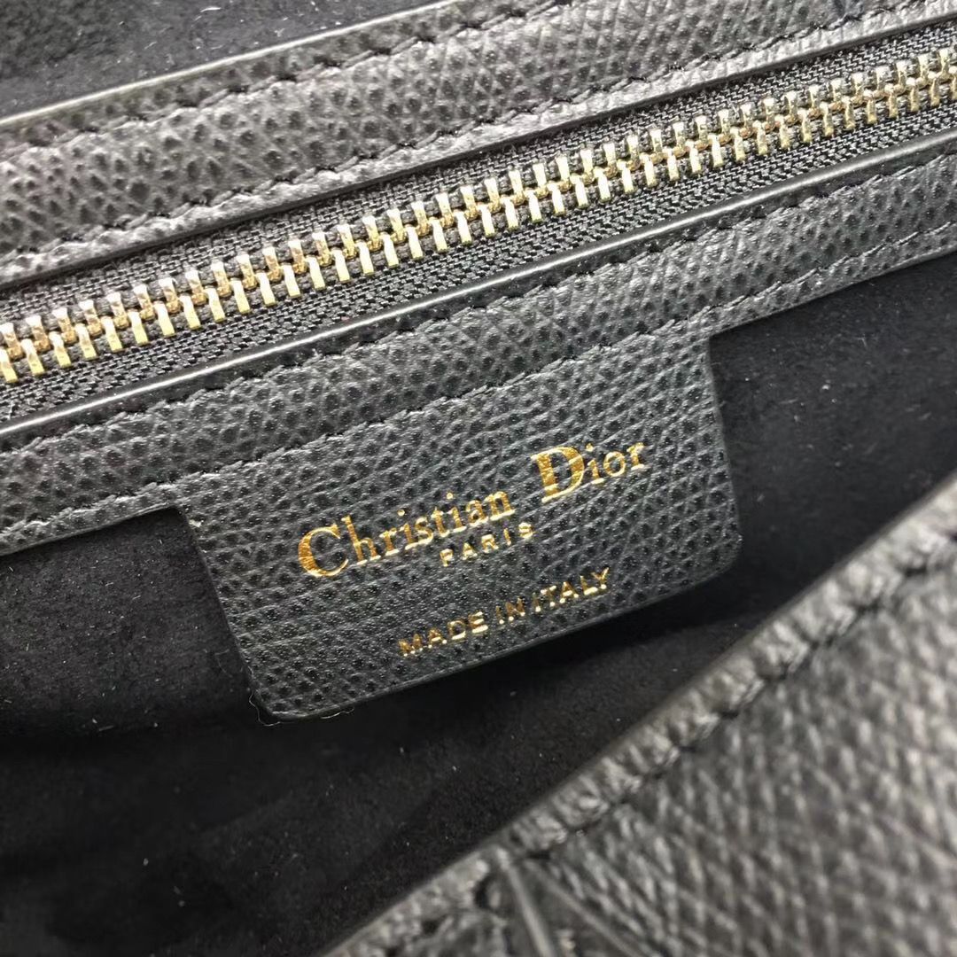 Dior Saddle Bag