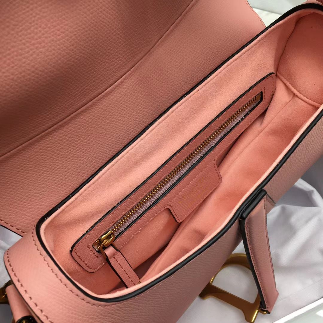 Dior Saddle Bag 25,5 cm