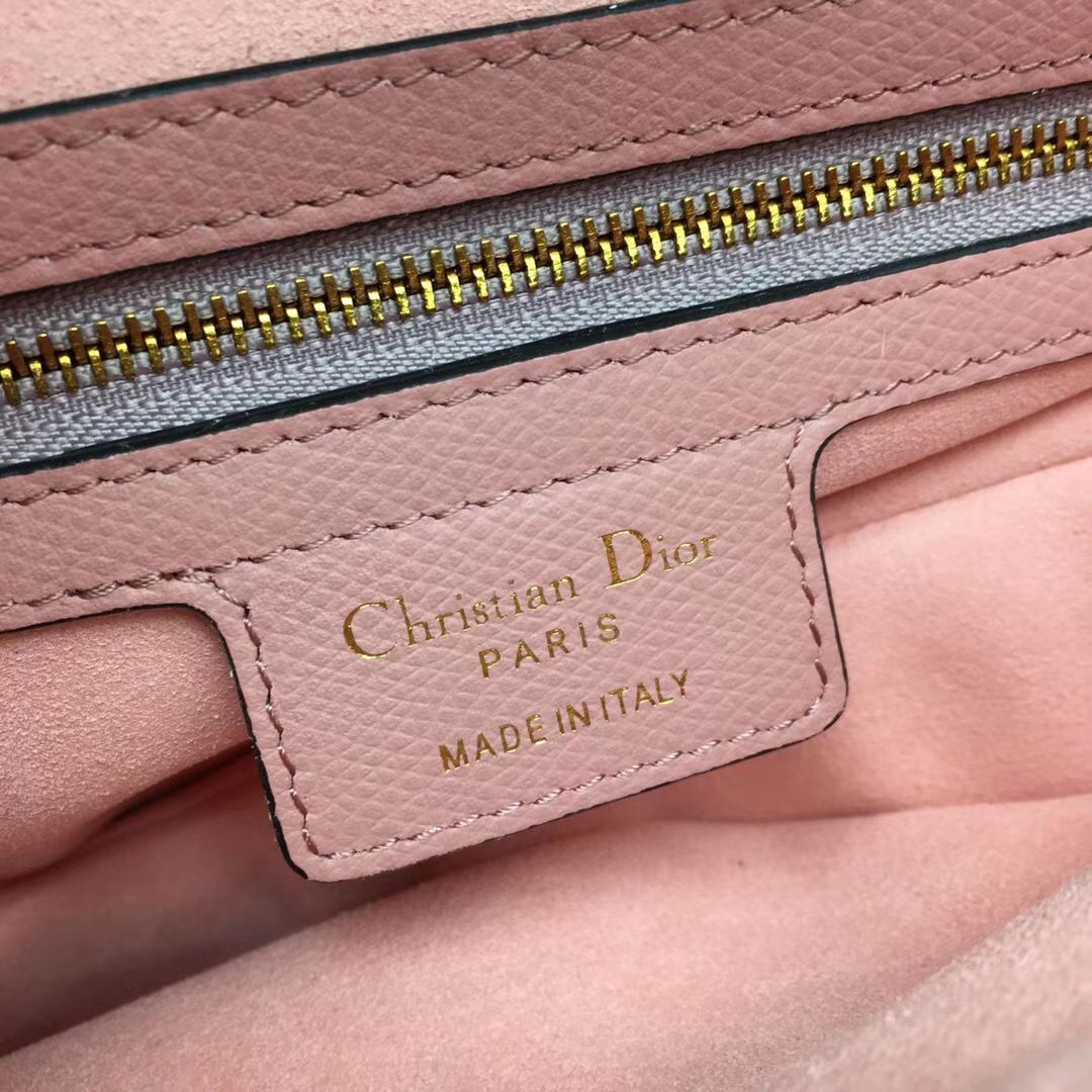 Dior Saddle Bag 25,5 cm