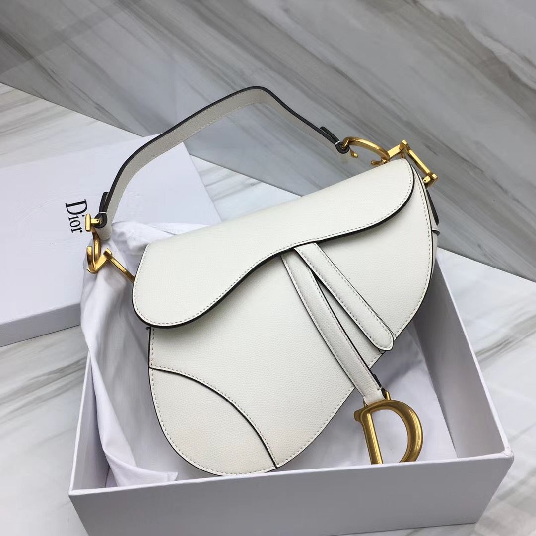 Dior Saddle Bag 25,5 cm