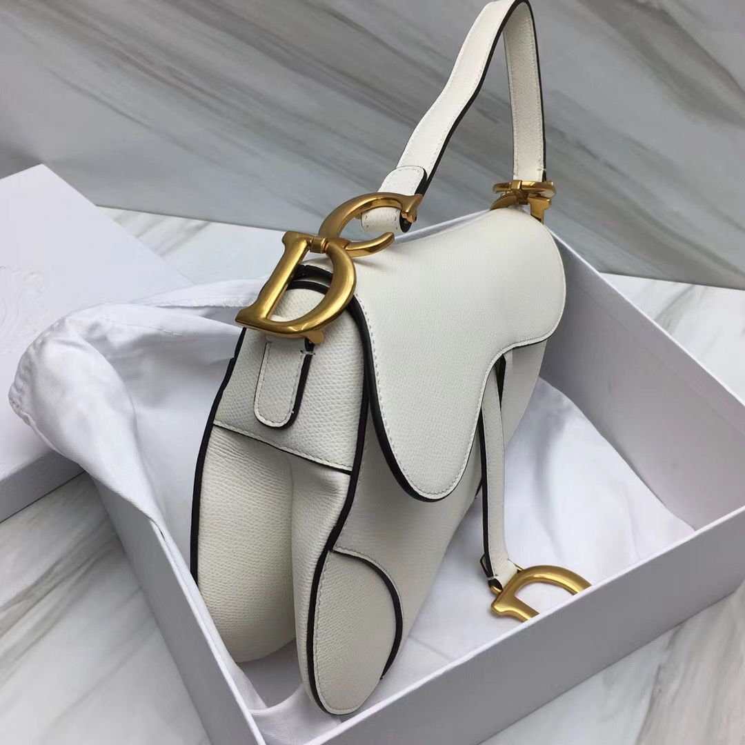 Dior Saddle Bag 25,5 cm