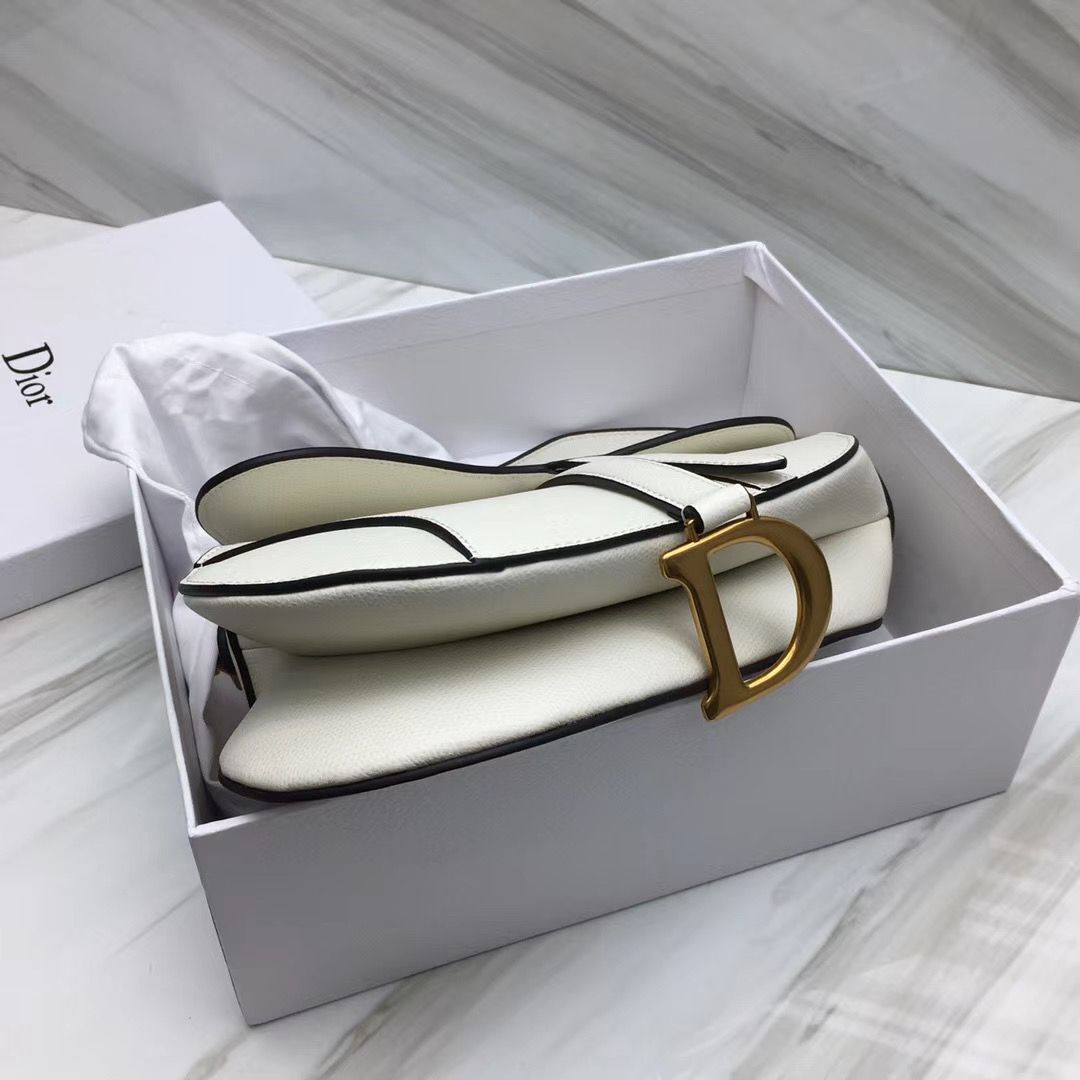 Dior Saddle Bag 25,5 cm