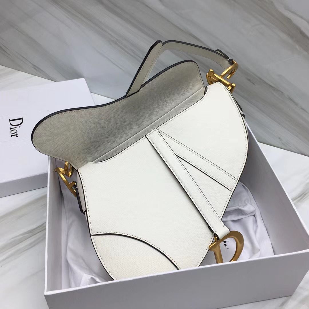 Dior Saddle Bag 25,5 cm
