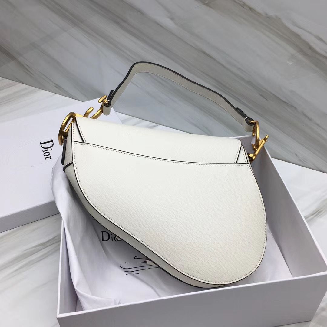 Dior Saddle Bag 25,5 cm