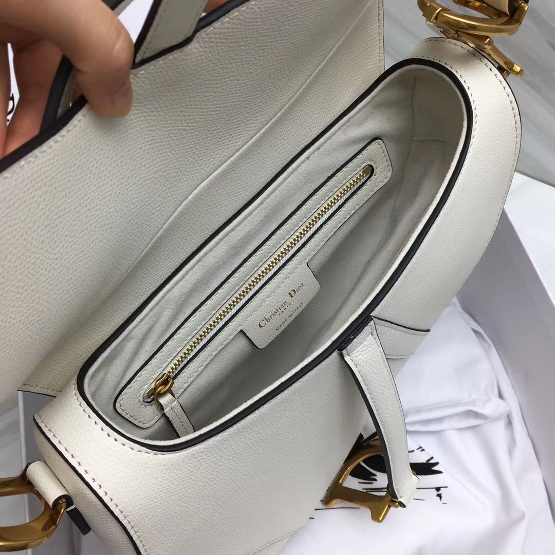 Dior Saddle Bag 25,5 cm