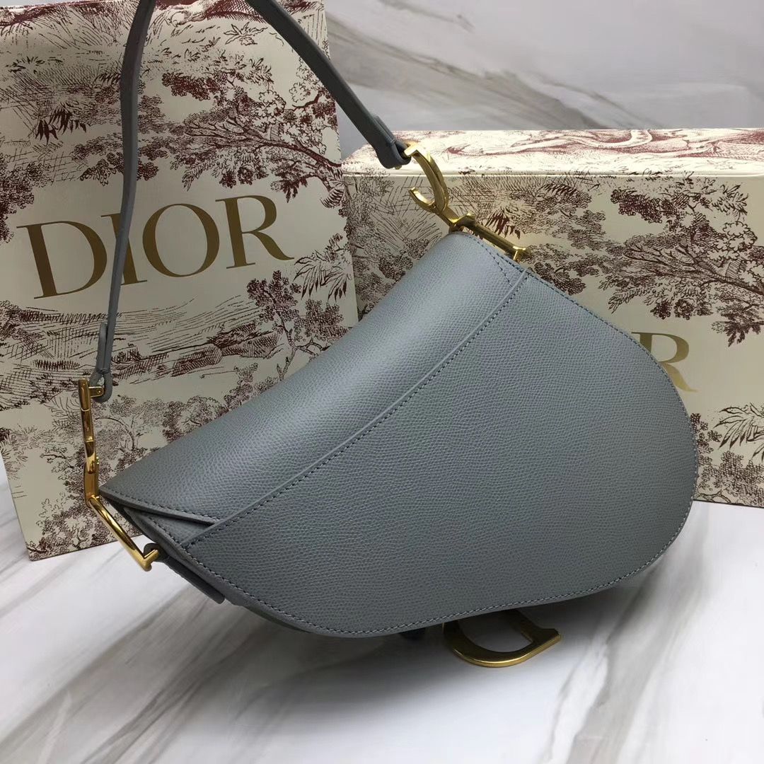 Dior Saddle Bag 25,5 cm
