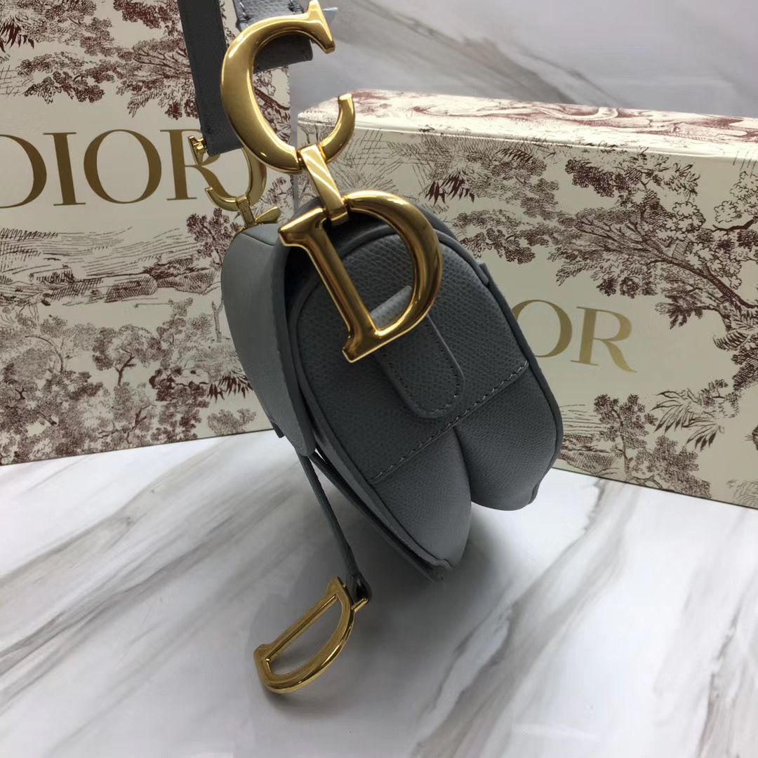 Dior Saddle Bag 25,5 cm