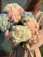 Гортензии разных цветов поштучно