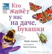 Кто живет у нас на даче. Букашки