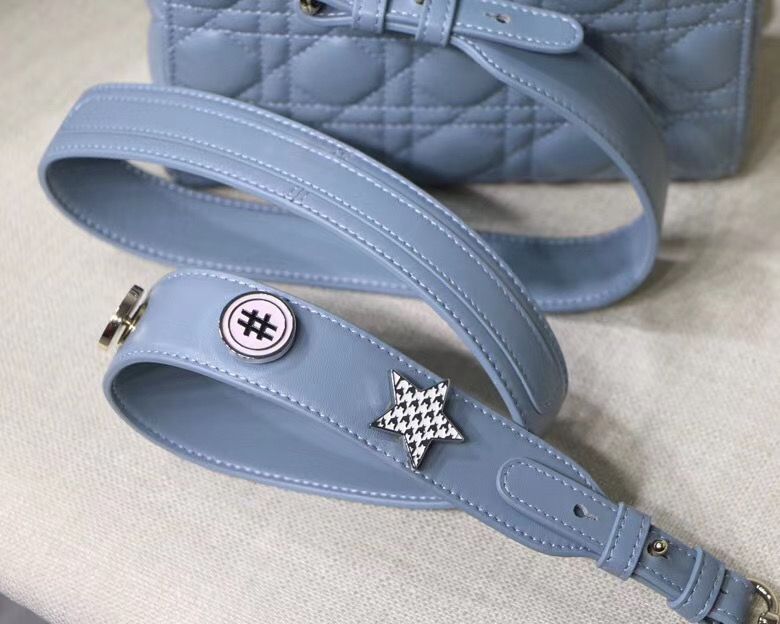 Lady Dior Mini 20 cm