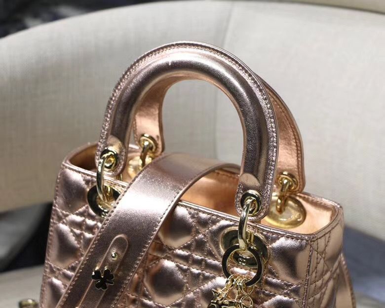 Lady Dior Mini 20 cm