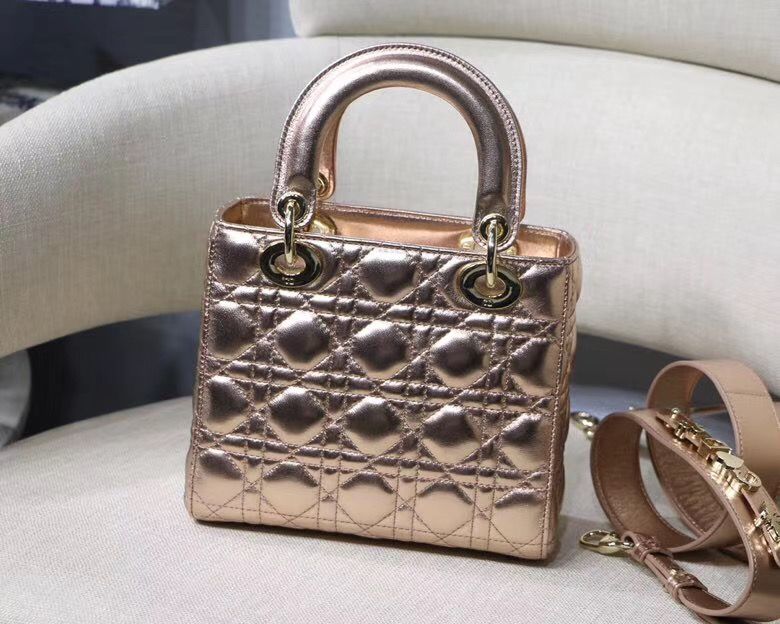 Lady Dior Mini 20 cm