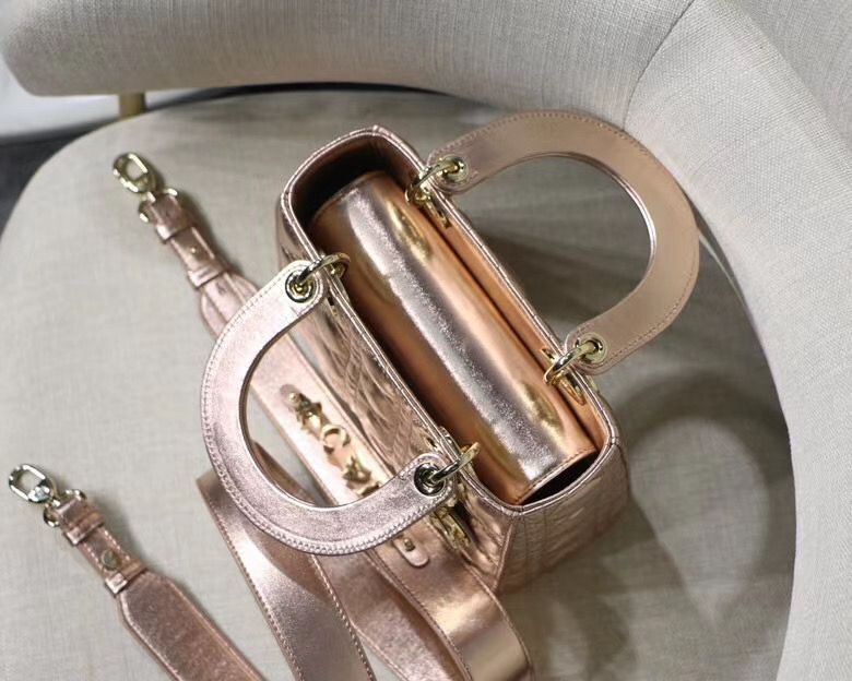 Lady Dior Mini 20 cm