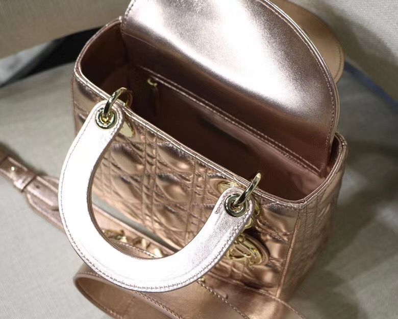 Lady Dior Mini 20 cm