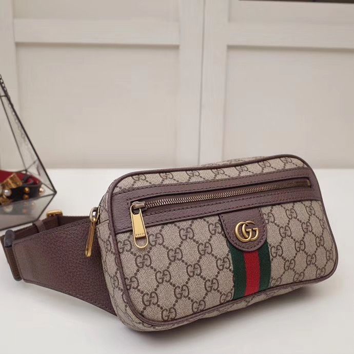 Поясная сумка Gucci Ophidia 24 cm